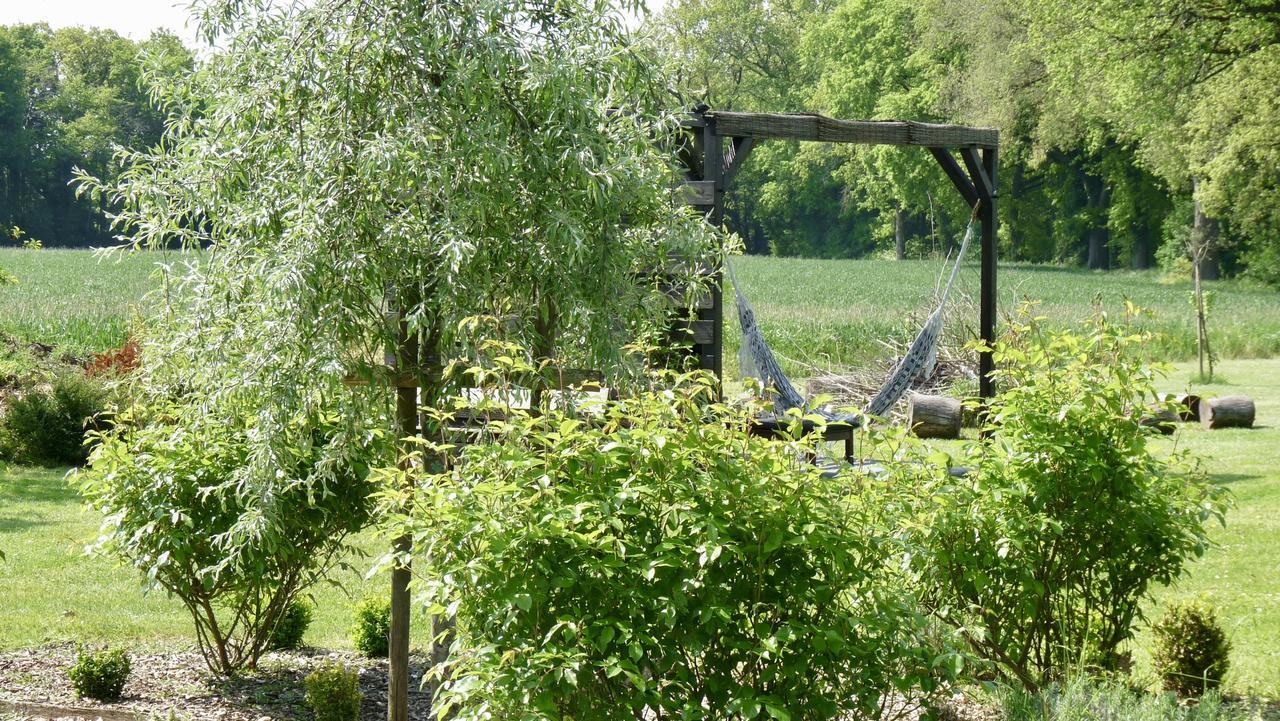 Bed and Breakfast La Ligne Angles-sur-l'Anglin Экстерьер фото